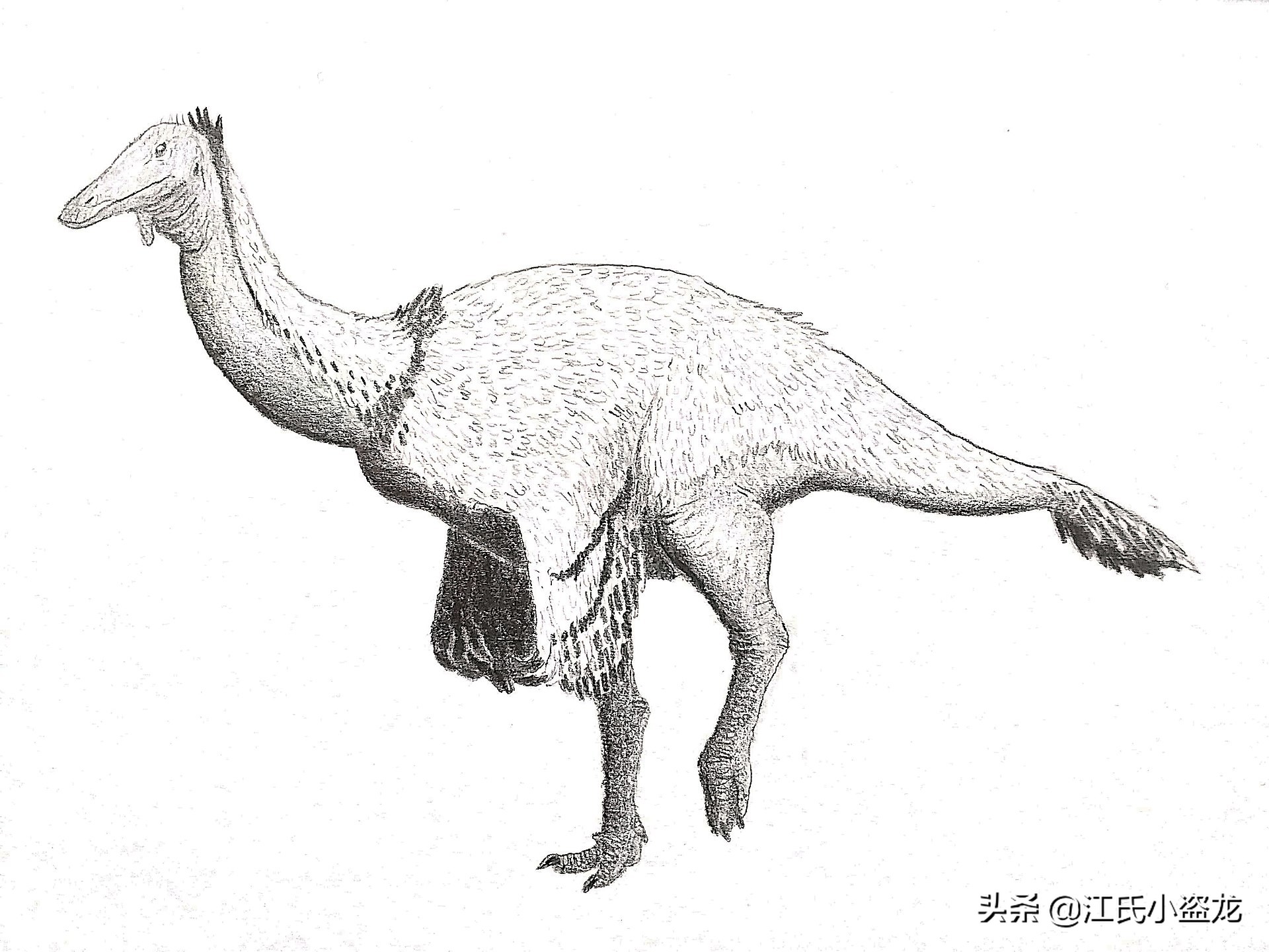 古生物时代有多少种恐龙,人类已经发现了多少恐龙种类