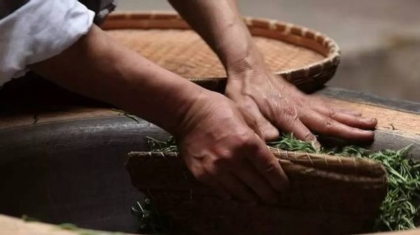 神奇的东方树叶原声,神奇的东方树叶饮料