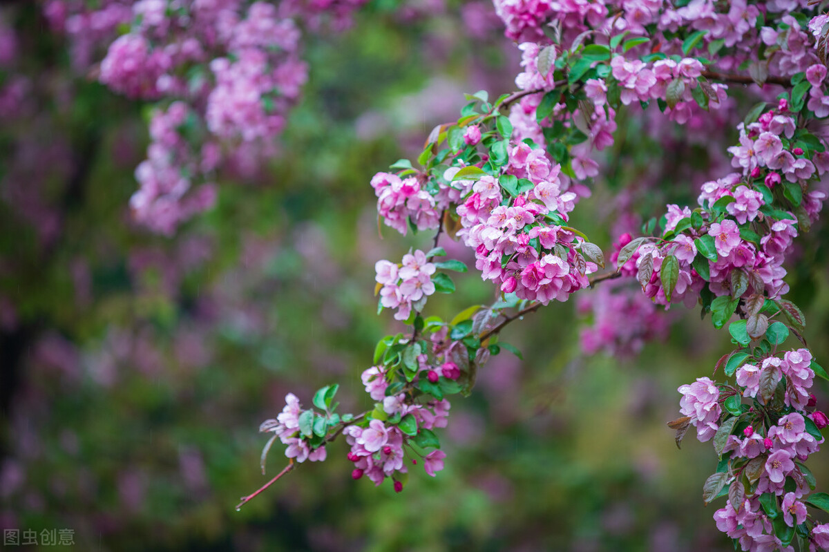 愚人节的愚人愚事,愚人节才发现最大的愚人是自己