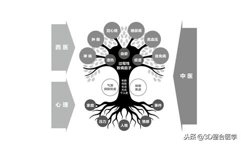 重磅连载——《3D医学》第四期