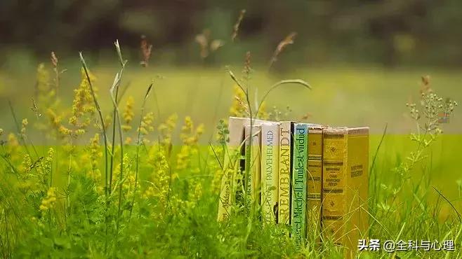 心灵鸡汤人生感悟正能量的句子,心灵鸡汤感悟人生正能量的句子