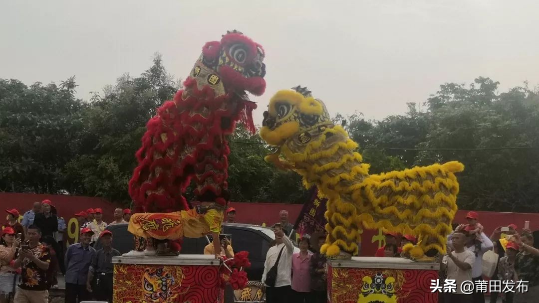 莆田林氏祭祖大典直播,林氏宗亲莆田会议