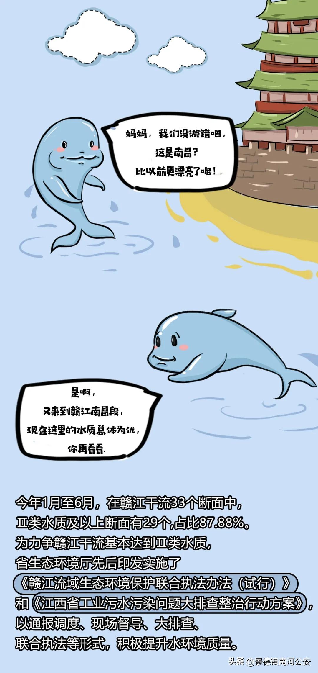 赣江一江两岸视频,赣州赣江最新视频