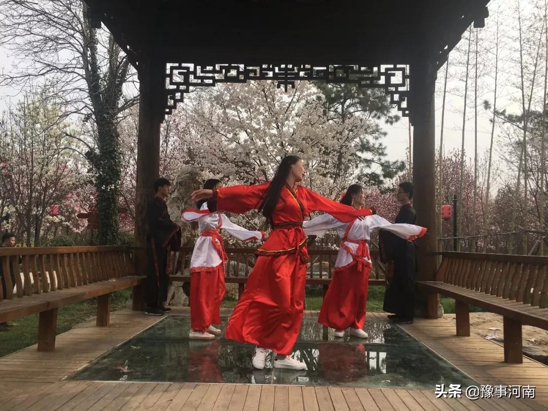 河南许昌樱花景点,许昌樱花最美的地方
