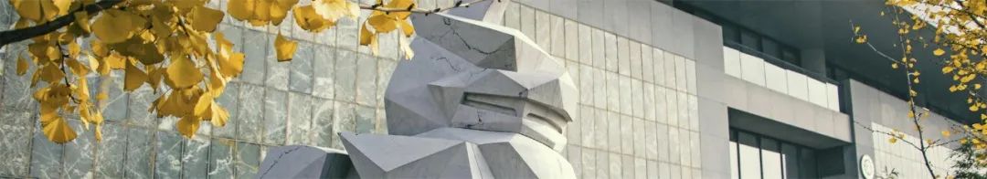 证券法初学者,证券法论文3000字