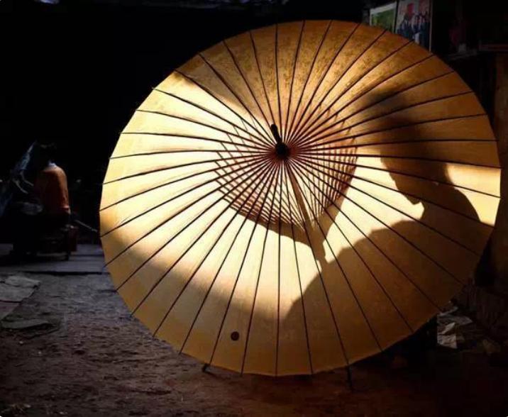 俗话说；“千棵棕万棵桐，子子孙孙都不穷”，你家里种过吗？