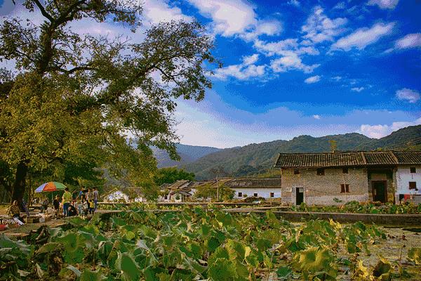 去南华寺体验什么,丹霞山南华寺云门山旅游攻略