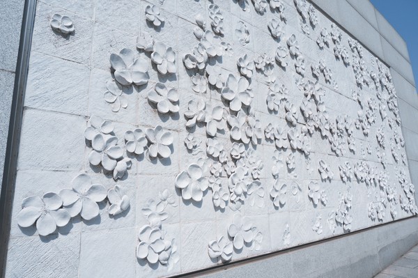 一个念头完整版,一个念头吉他