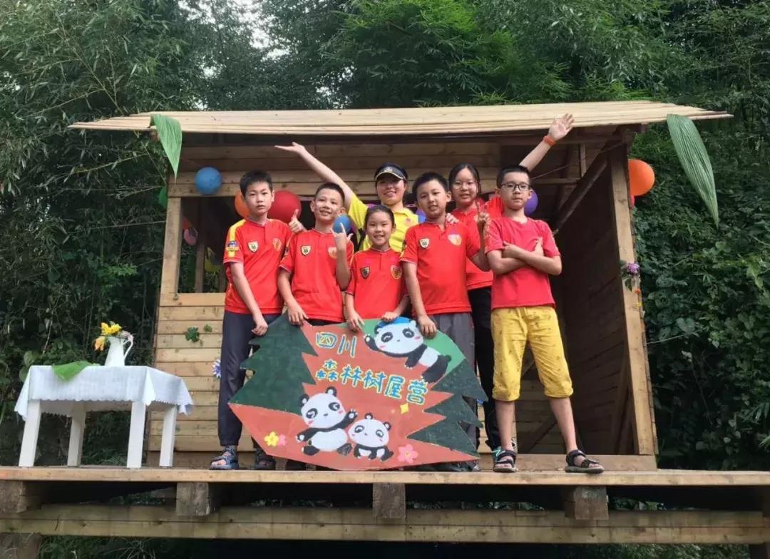 厉害了!这几个小学生竟然花了5天时间在森林里造了一个......