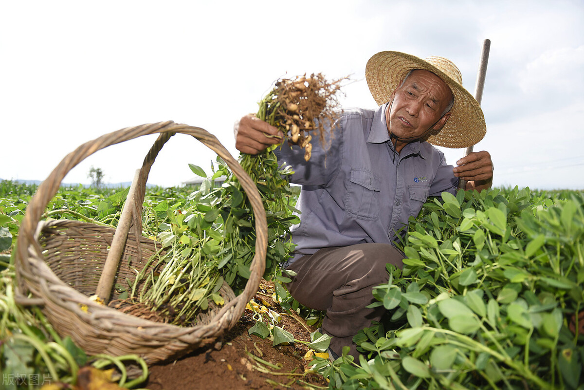 疼痛老中医,乡村老中医治头痛
