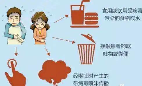 校园成诺如病毒聚集地怎么预防,学校发生诺如病毒预防注意事项