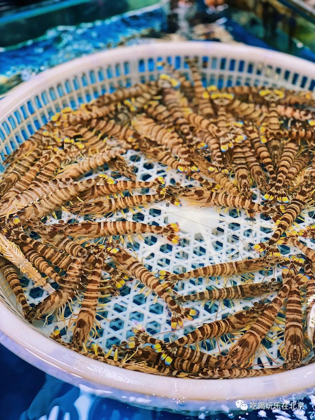 朝阳区海鲜市场,北京朝阳区海鲜市场