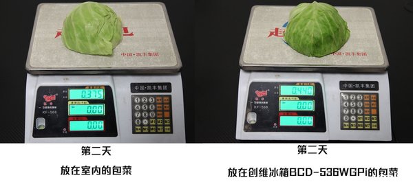 创维冰箱bcd455wy使用说明,创维冰箱bcd-256wgy说明书