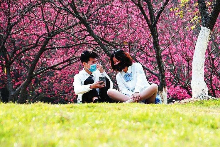 准备好了吗带你畅游河南,武汉适合踏青的公园推荐