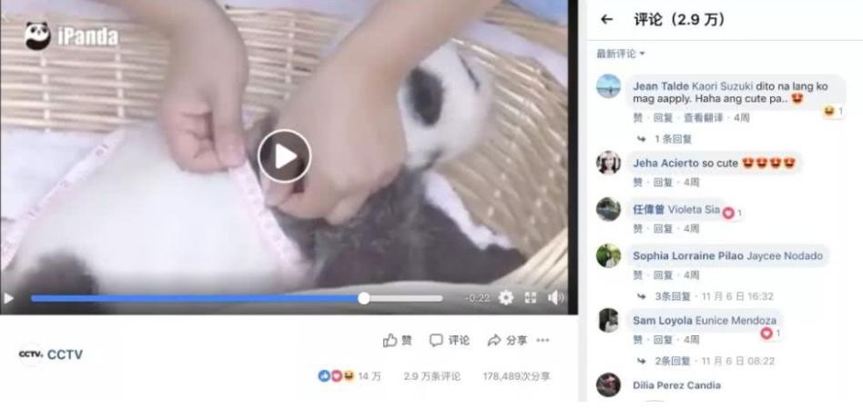 租借到外国的熊猫真的过得好吗,熊猫中国租借熊猫