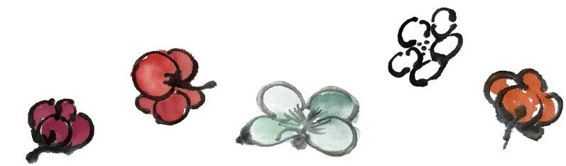 零基础梅花花朵入门画法,零基础学国画梅花入门步骤