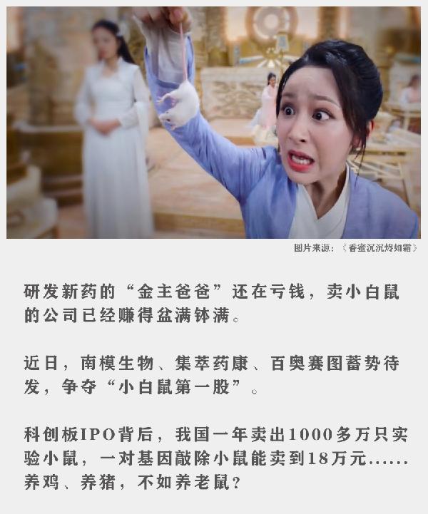 1只老鼠卖9万？博士创业卖小白鼠，多个明星资本入局
