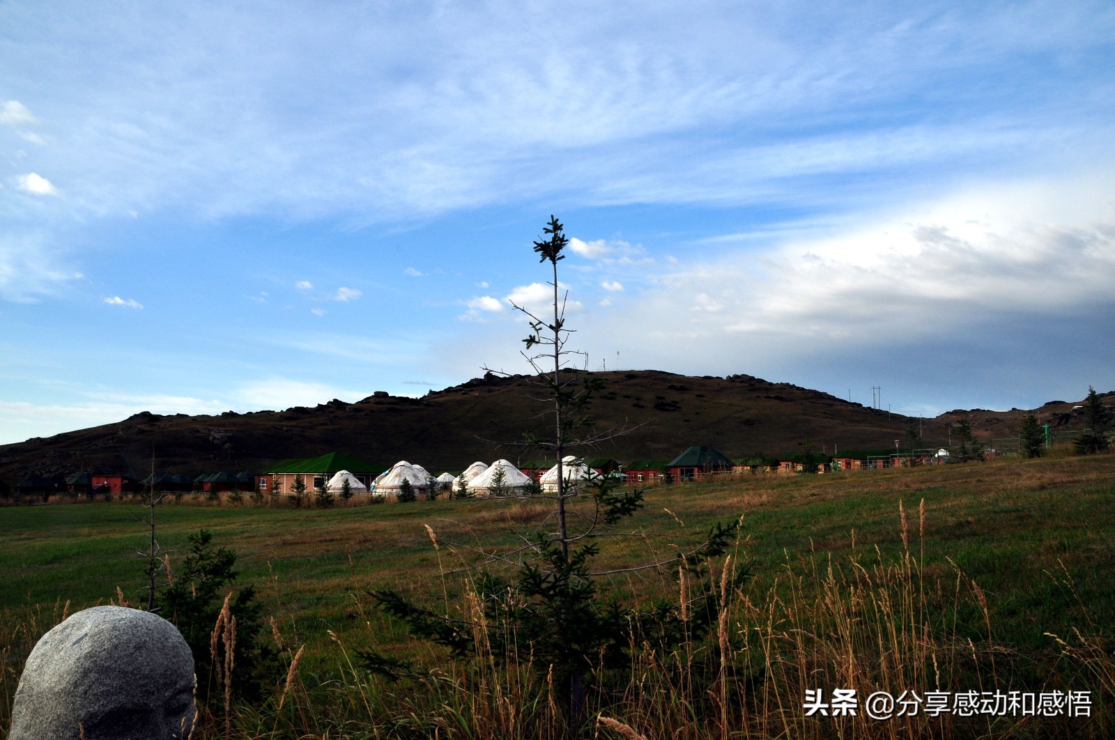 *疆新**汽车窗外的光影世界：斑驳陆离风光美，亦梦亦幻疑成仙