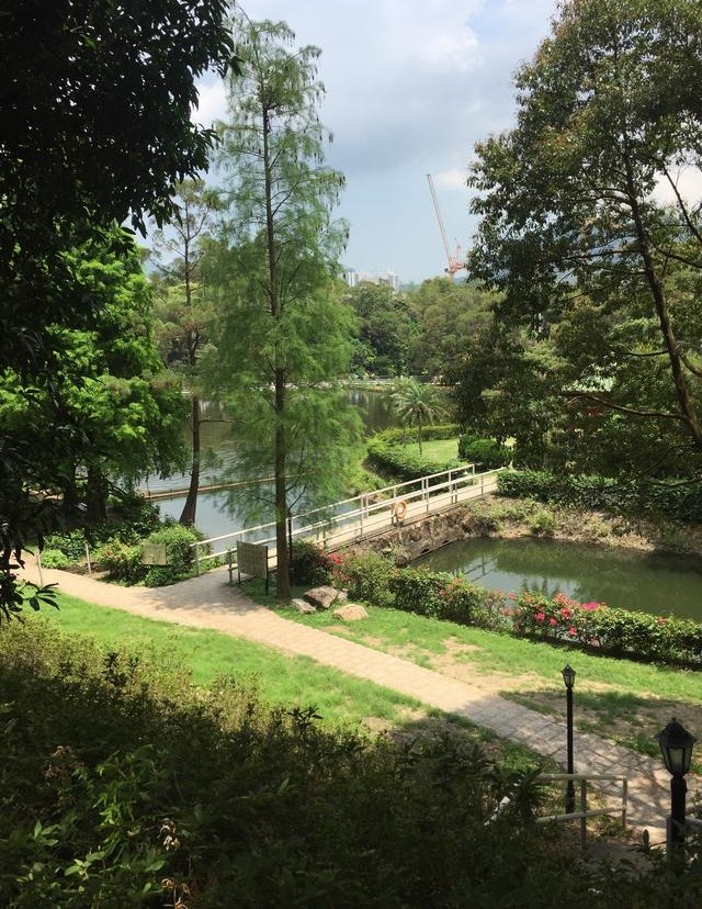 没去过香港会不会迷路,没去过香港有个地方叫铜锣湾