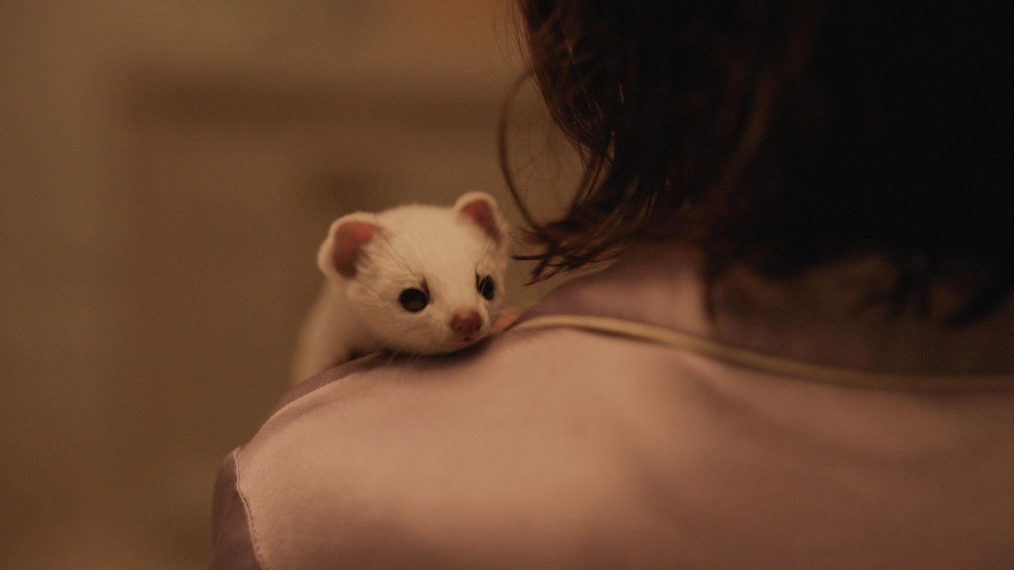 这部剧在国外有多火,1000多万人熬夜追剧