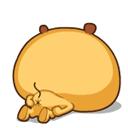 【关注】菊花残，先表慌！了解肛裂知识看下面！