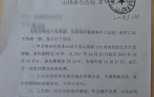 果树被别人砍一棵赔偿案例,广西大量果树被砍