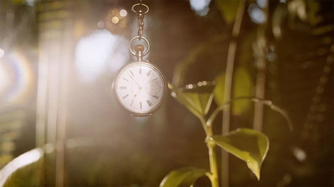 这枚独一无二的腕表，让你真正体会到时间的意义、生态的脆弱