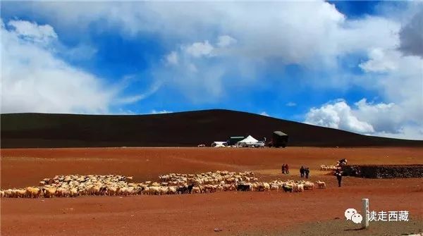 走阿里去纳木错免费吗,走在西藏高原普兰县