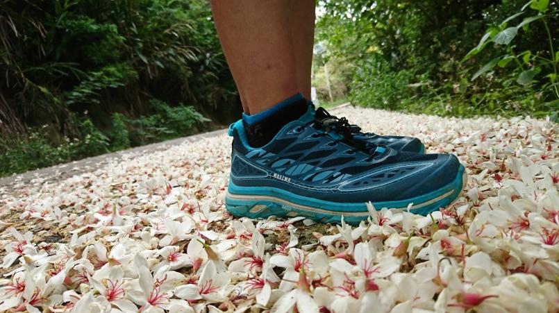 萨洛蒙和泰尼卡越野跑鞋,泰尼卡越野跑鞋至尊全能比较