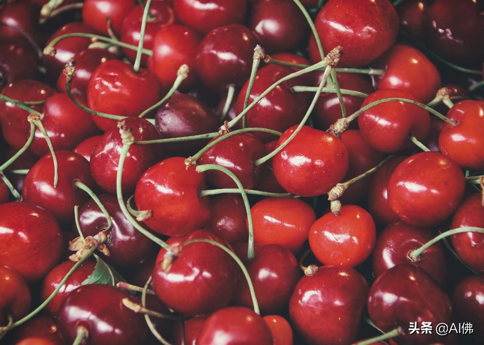 十种不能给狗吃的食物,狗的克星食物