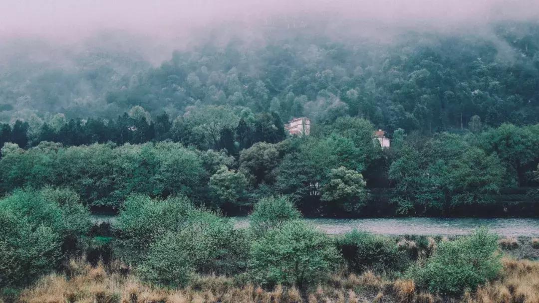 武夷山风景区民宿推荐价格表,武夷山山里民宿