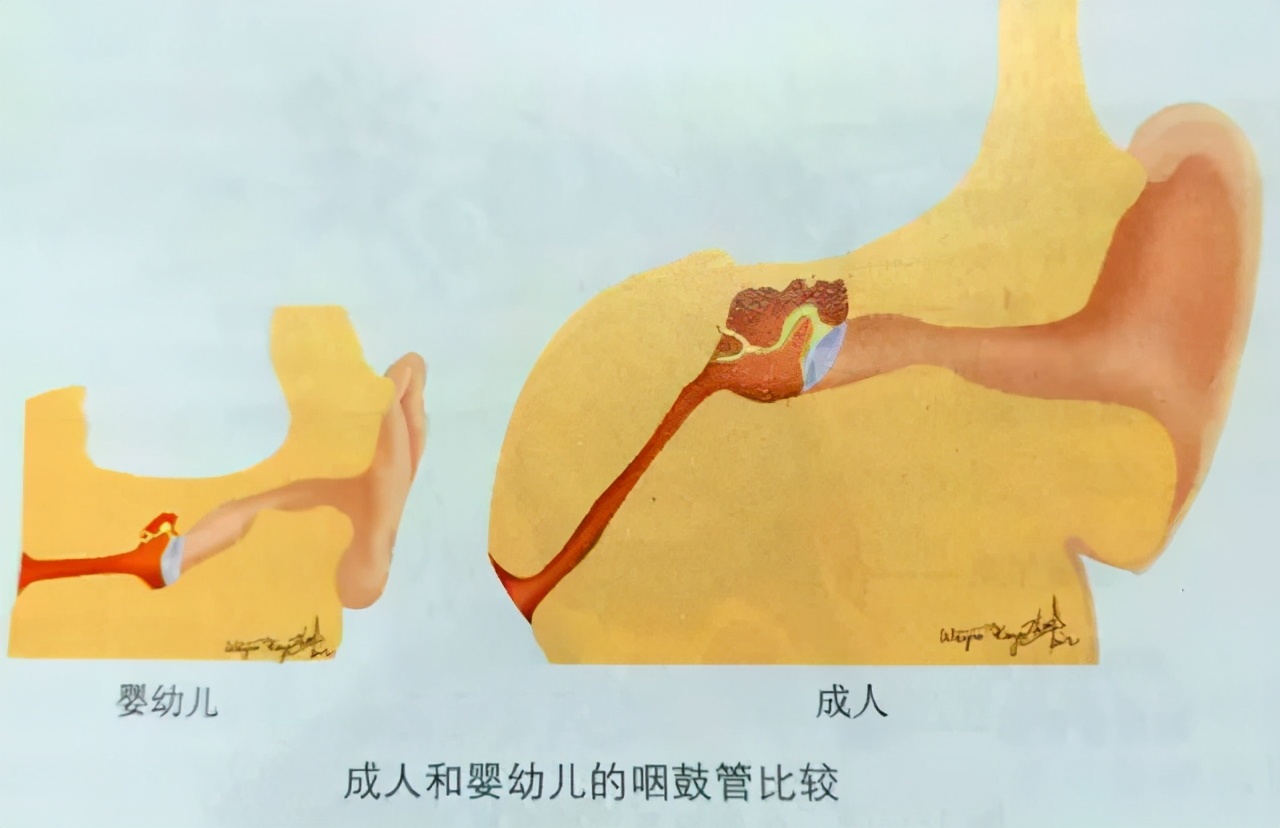 感冒引起耳朵堵塞吃什么药,感冒导致的耳朵堵塞和疼痛