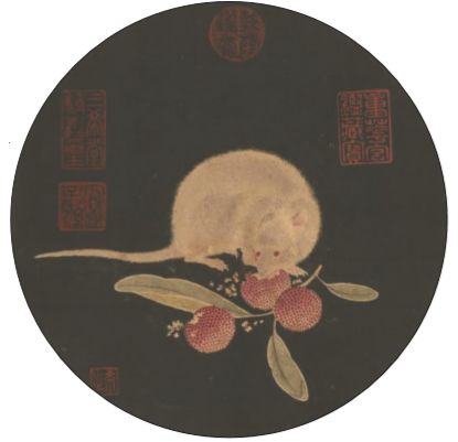 小白鼠很接近人类,我们对老鼠的认知