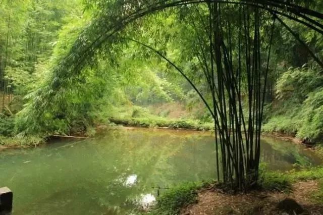 成都周边一日游适合10岁小朋友,成都周边一日游景点推荐2021