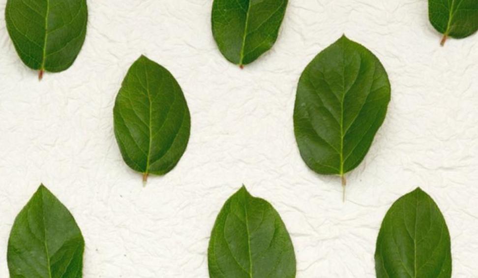 不辞职体验做100个副业,不辞职如何找工作