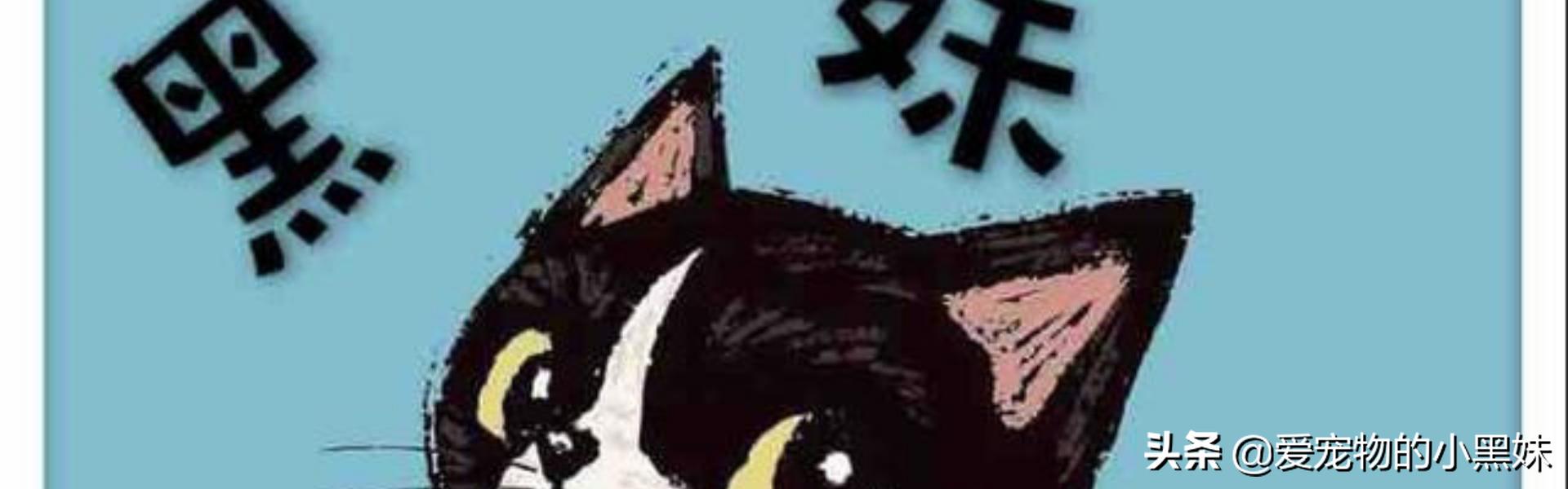 猫疥螨性皮炎怎么治疗,猫蚤性皮炎怎么治