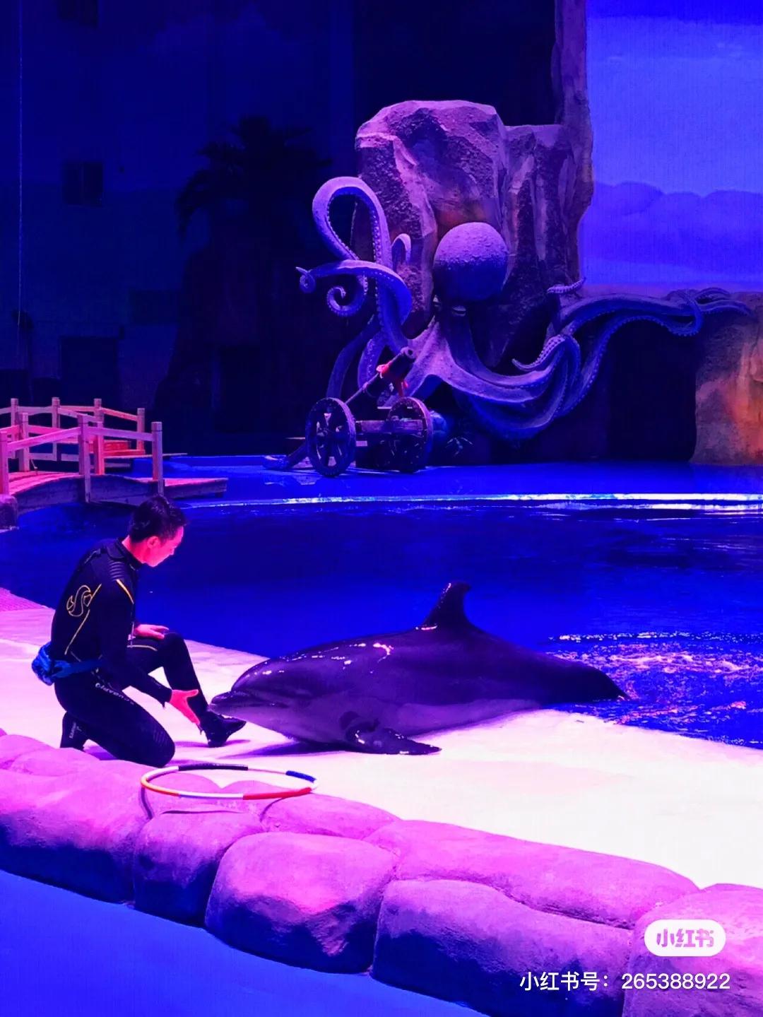 西安室内游乐场排行榜第一,西安最好玩的游乐场推荐