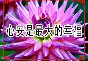 一份暖心的问候致我牵挂的朋友,真心的祝福送给每一位真心的朋友