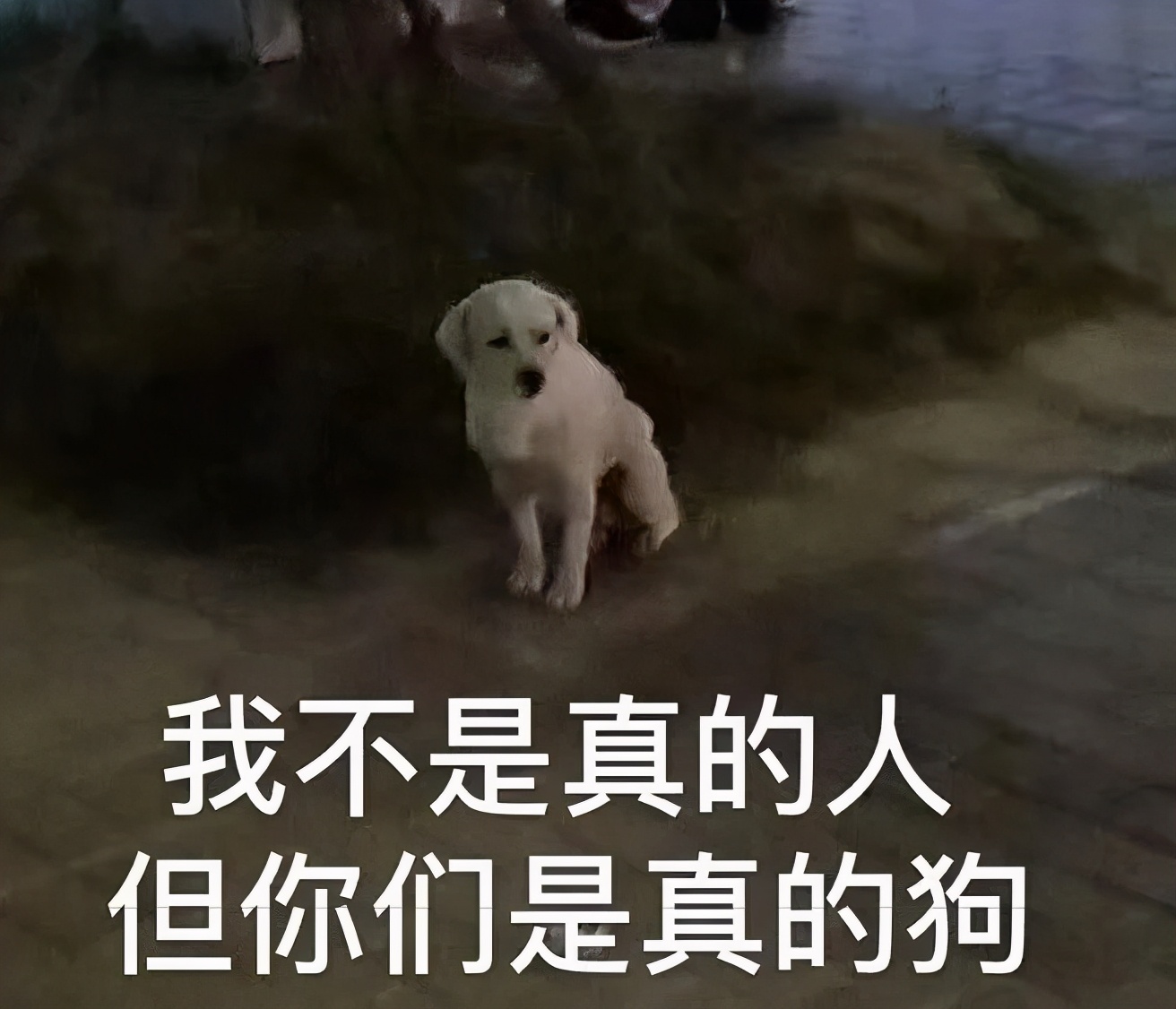 留学生回国海关行李怎么办,留学生行李被海关扣了怎么办