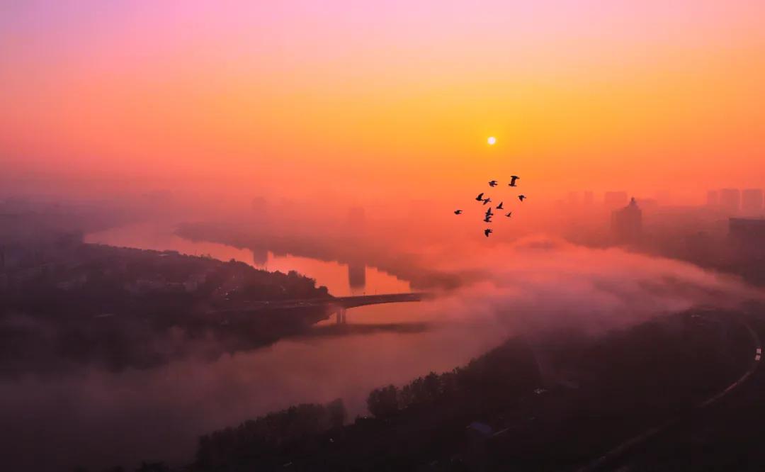 「第1期」2020年大美社群优秀作品回顾