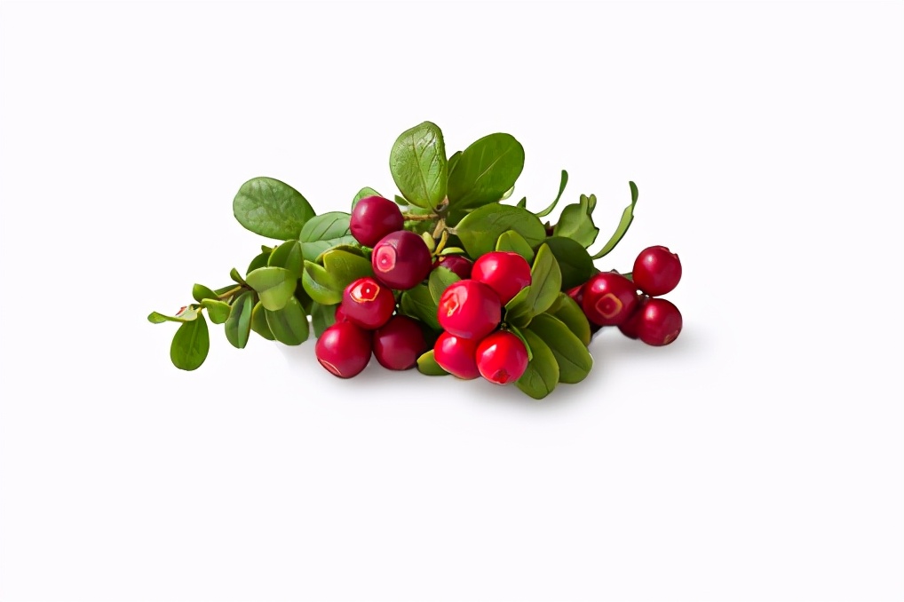 药学博士推荐祛斑,美白淡斑成分测评