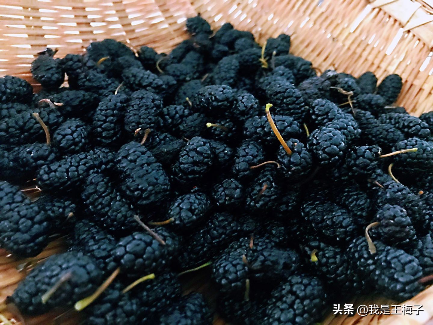 桑葚泡酒最正宗的做法,桑葚泡酒的制作方法和步骤