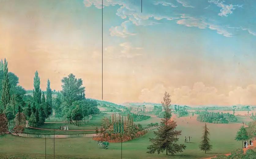 红衣主教来源,红衣主教月季分布区域