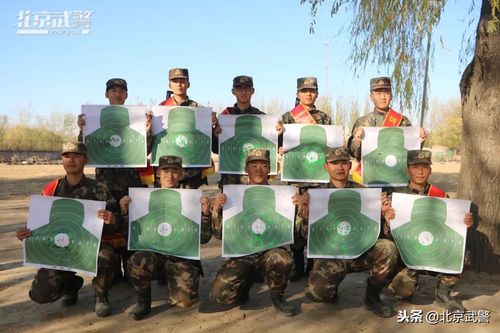 枪王还有几场复出,枪王有多少段