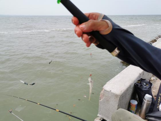 廉江龙营钓鱼视频,湛江市遂溪草潭码头钓鱼视频