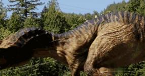 汉中恐龙乐园免费地点,汉中恐龙乐园门票