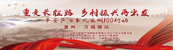 平安产险党建工作总结,党建引领安全生产技术创新