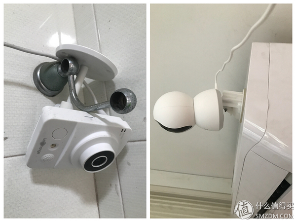 白天不在家猫喂食怎么办,白天不在家猫怎么养