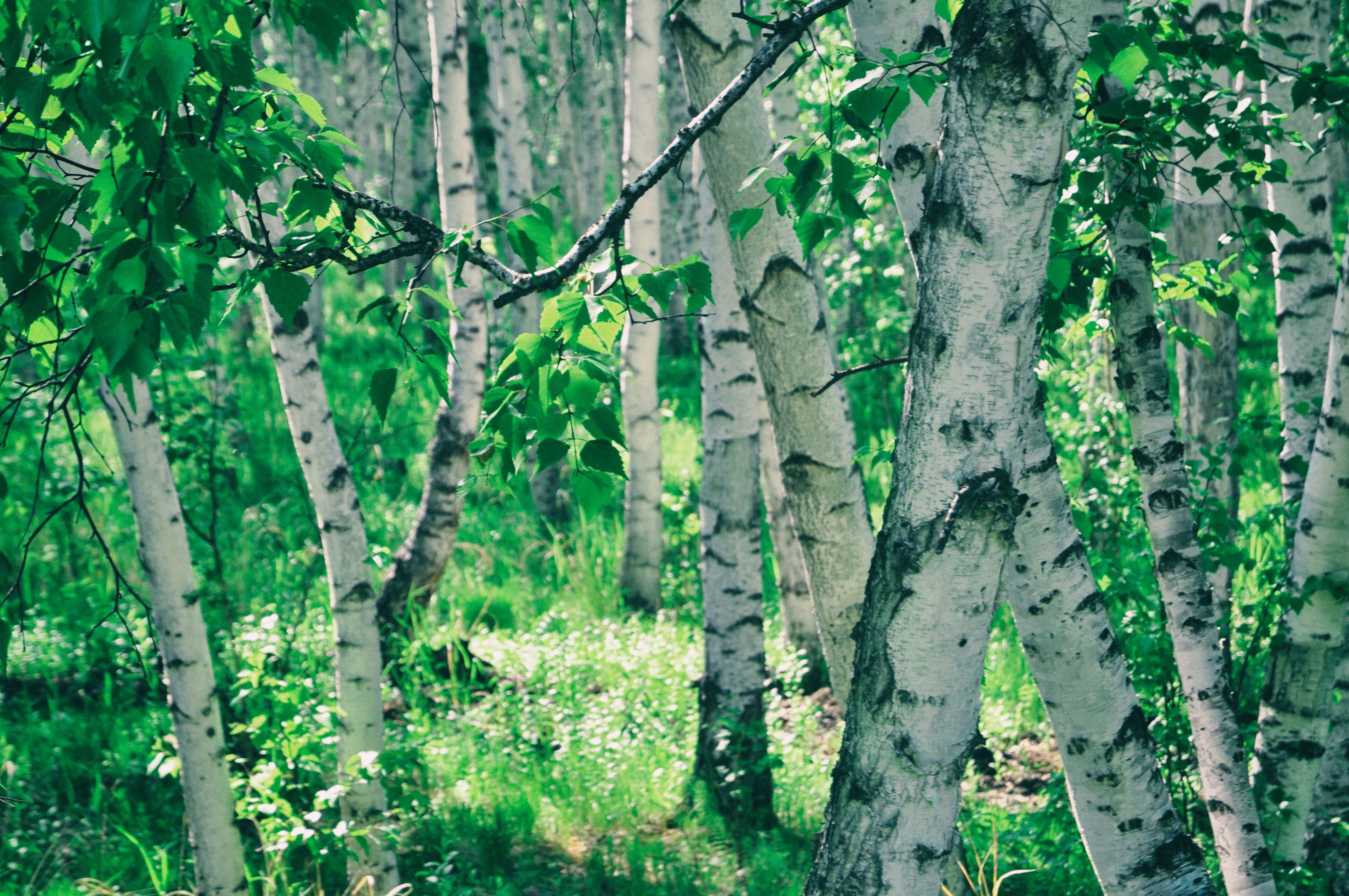 一次特别的东北旅行,历时18天的东北边境行