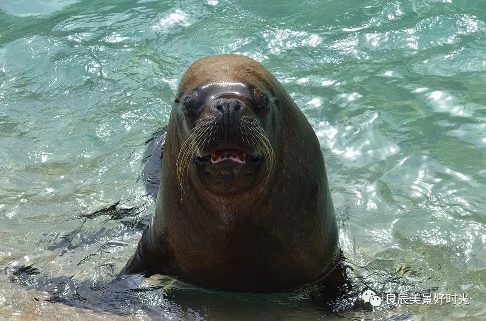 大阪ose期货国内可以交易吗,大阪osaksa食堂
